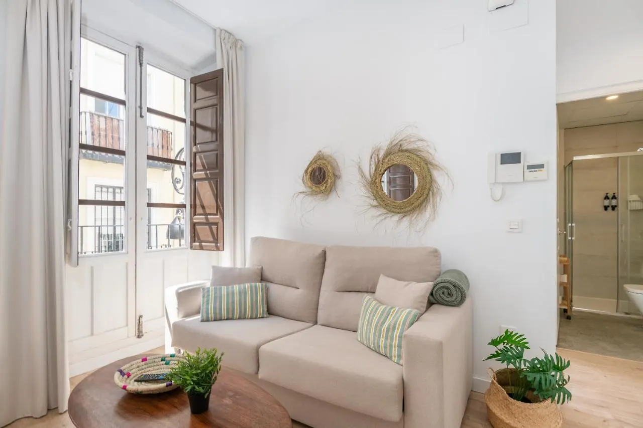 Palacio Dorobe Apartment Granada 0*,  Spain