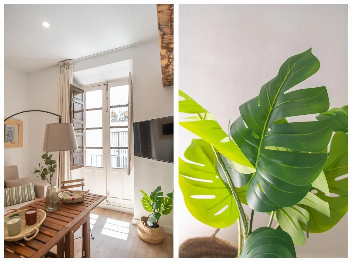 Appartamento Apartamentos Luna Suites Palacio Dorita Granada Spagna