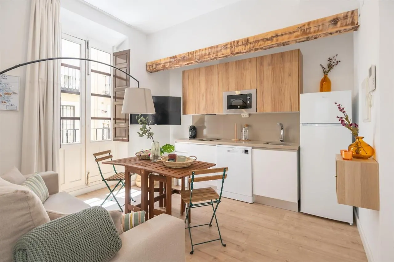 Apartamentos Luna Suites Palacio Dorita Granada